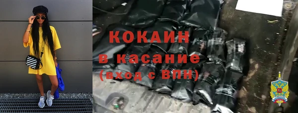 шишки Гусь-Хрустальный