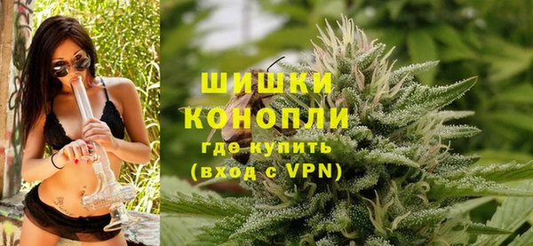 шишки Гусь-Хрустальный