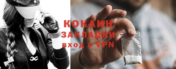 молекула духа Гусев