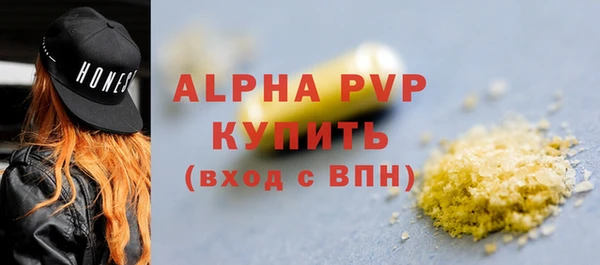 молекула духа Гусев