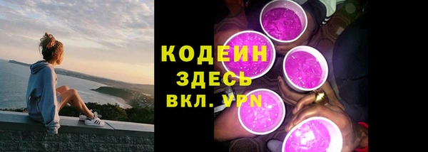 молекула духа Гусев