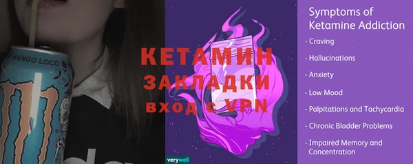 шишки Гусь-Хрустальный