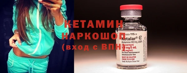 шишки Гусь-Хрустальный