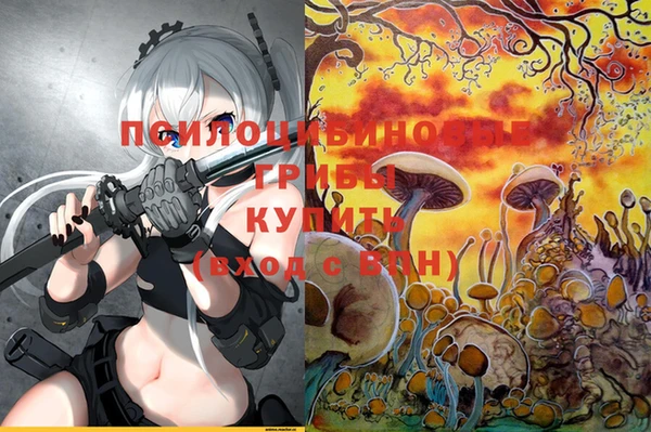 молекула духа Гусев