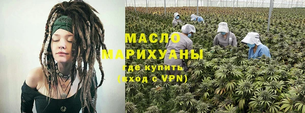 шишки Гусь-Хрустальный