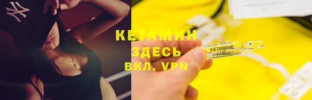 шишки Гусь-Хрустальный