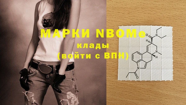 шишки Гусь-Хрустальный