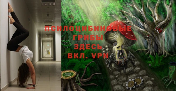 молекула духа Гусев