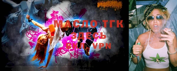 шишки Гусь-Хрустальный