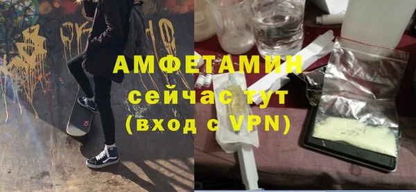 молекула духа Гусев