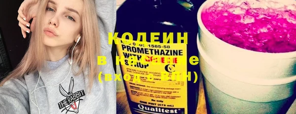 дурь Гусиноозёрск