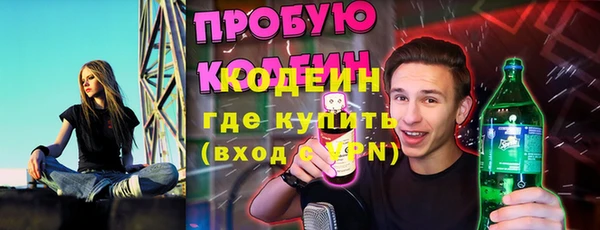шишки Гусь-Хрустальный