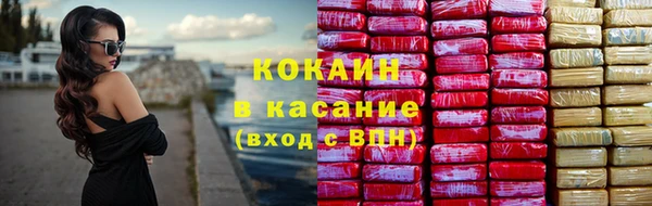 шишки Гусь-Хрустальный