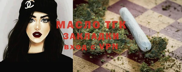 шишки Гусь-Хрустальный