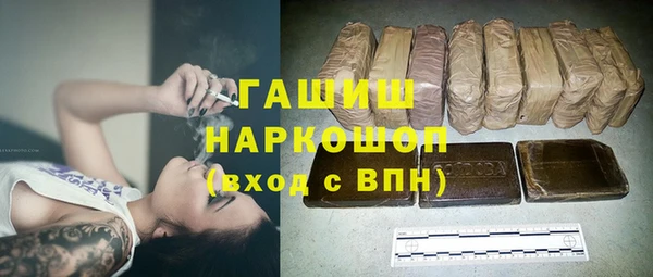 молекула духа Гусев